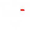 Logo de Rizwards Leather