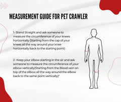 Extreme Strict Leather Pet Crawler Restraints